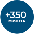 350_muscles_de