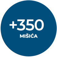 350_muscles_sr