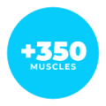 350-muscles